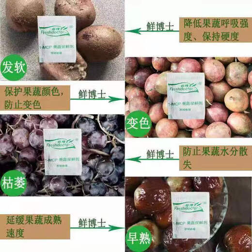FRESH DOCTOR Fruit and Vegetable Preservative Color-Protective Vegetable and Fruit Anti-Softness Preservative for Apples, Plums, Pears and Persimmons 100g (25 bags in the box)