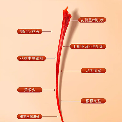 Juhetai Sélectionné des cadeaux de safran Gifts du Nouvel An Festival des marchandises pour la mère, la petite amie, les personnes âgées, les personnes âgées et les personnes âgées en bonne santé Nutritional Boîte à cadeaux (10 tubes 5 grammes) Cadeaux haut de gamme rouges classiques pour visiter des parents en visite