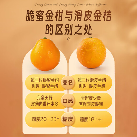 京觅广西融安 第三代脆密金桔 5斤装 单果32g+ 源头直发包邮