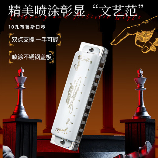 EAST TOP blues harmonica 10 holes T008L PADDY C key