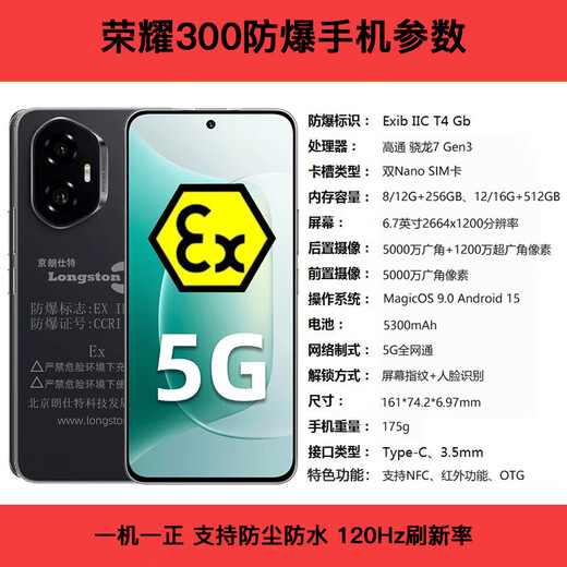 荣耀300 防爆智能手机 防水防尘 5G手机 5000万像素 5300mAh EX本安 化工石油燃气制药工业专用 T4 荣耀300化工防爆版（可开13%专票） 12G 256G
