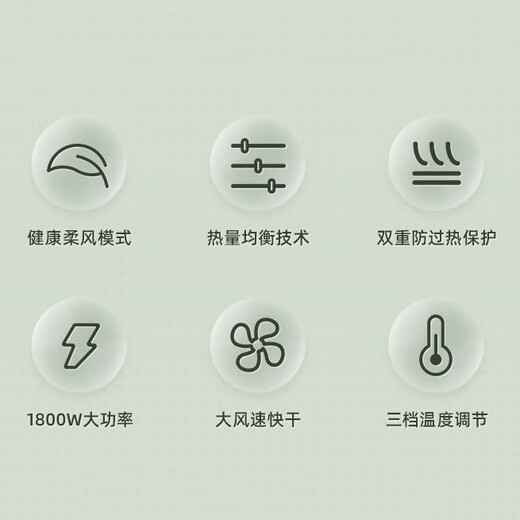 博锐飞科高速电吹风机家用负离子护发大风力速干低噪轻音便携式宿舍学生用不伤发吹风筒 飞科吹风机FH6296不可折叠 1800W绿色