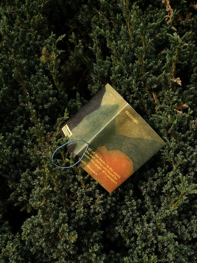 VM香草山在路上原创设计护照夹杜邦纸保护套收纳包卡包钱包旅行 森林款