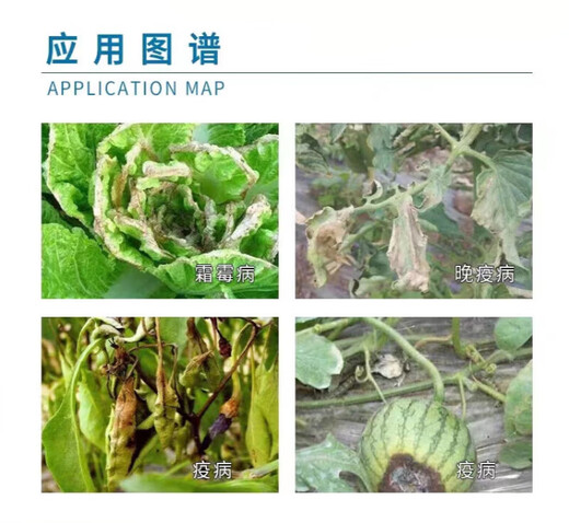 Bayer Silver Farley German Bayer pesticide propamocarb tomato cucumber downy mildew blight late blight Silver Farley fungicide 1L