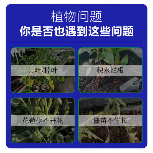 Plant regeneration agent, special nutrient solution for money tree, hydroponic fertilizer, indoor and outdoor potted plant nutrient solution, universal type, shoot 5 shots 9, plants thrive