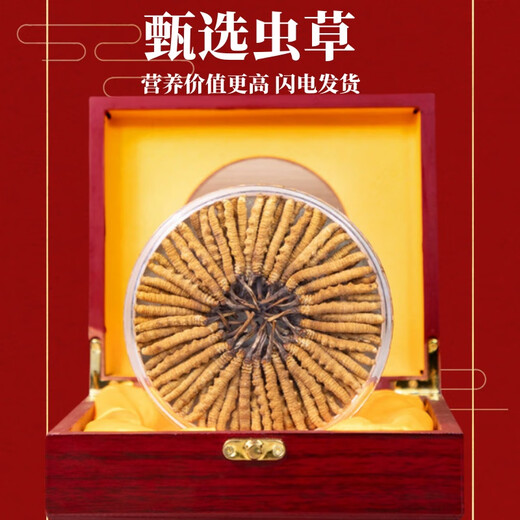 
Authentic Cordyceps sinensis first period selected nourishing dry goods two gram gift boxes for gifts and nutritious Cordyceps tonics, authentic Cordyceps sinensis in Tibetan areas, 10 gram trial packages