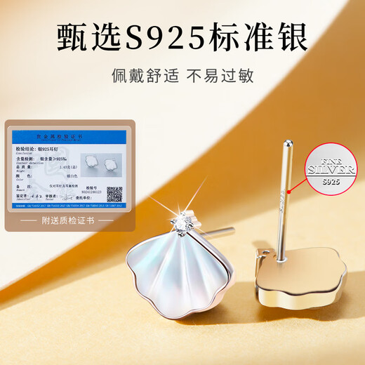 Gift for a long time, Swarovski zirconium earrings, girl’s birthday gift, girl’s wedding anniversary, practical earrings for wife