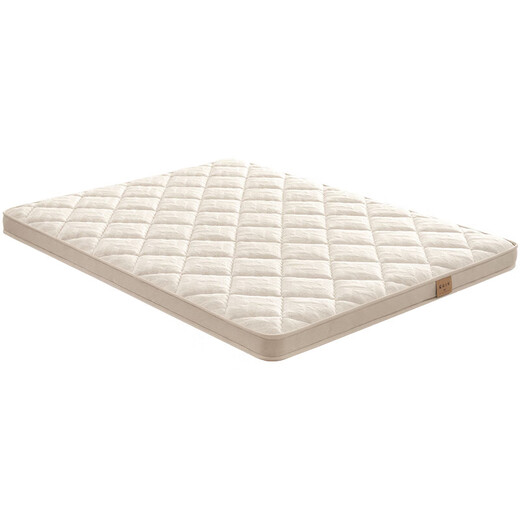 Hemp Master Jute Mattress Firm Mat Waist and Spine Protection Home Bedroom Can Be Customized M77 1.5*2 Meter Hard Sleeping Feel