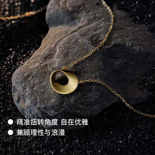 COASZE Hidden Series Möbius Ring Necklace 18K Gold Necklace, Valentine's Day Birthday Gift for Girlfriend and Wife Hidden Gold-Shine Medium Size-Classic and Elegant