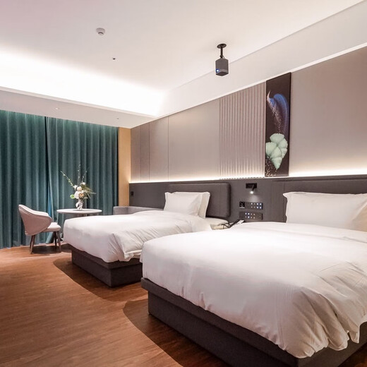 Light luxury audio-visual twin room