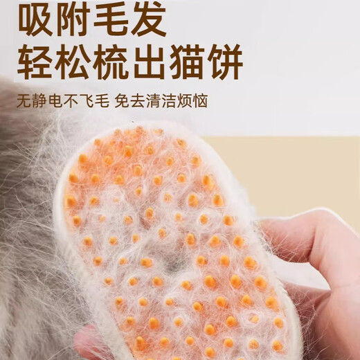 Pet cat and dog spray massage comb steam comb brush cat hair cleaner to remove floating hair and no need to bathe cat comb milk coffee rechargeable type effective antibacterial 99