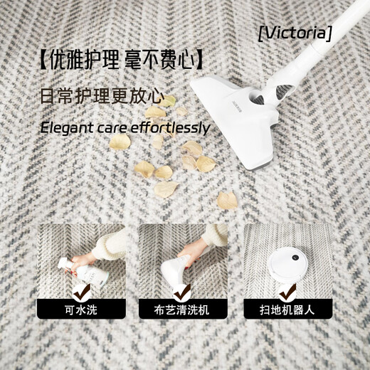 AOVOC carpet living room 2025 new washable and wipeable light luxury high-end sofa carpet Victoria 06 1.4*2 meters