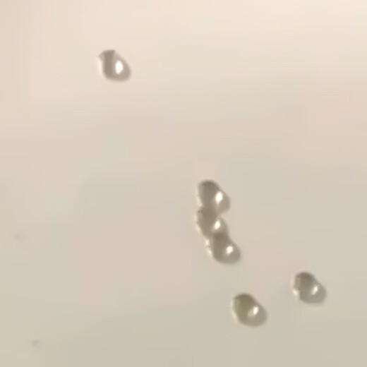 Waterproof coating wear-resistant super oleophobic nano coating hydrophobic angle 160 degrees oleophobic angle 150 degrees 200ml for plastics 204A