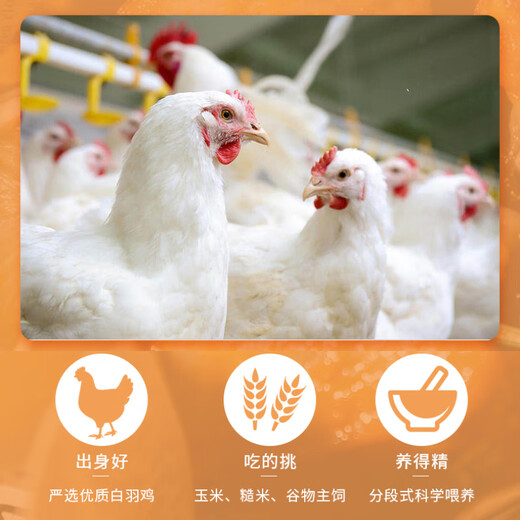 Xianjingcai Original Cut Chicken Wings Net Weight 2Jin Jin equals 0.5kg Frozen Grilled Chicken Wings Fried Chicken Wings Braised Chicken Wings