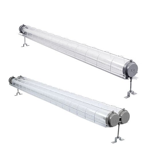 Deyan explosion-proof fluorescent lamp factory workshop lighting LED lamp explosion-proof lamp white light-1.2m double tube-40W*2