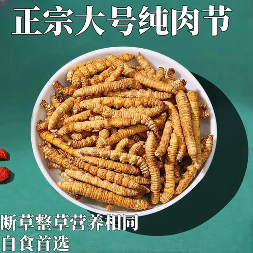 Xina Tibetan Cordyceps Cordyceps Broken Grass Genuine Cordyceps Broken Grass Selected Dry Goods High-altitude Broken Grass Self-use and affordable Package of Nagqu, Tibet Nagqu, 30g Package of Big Broken Grass with Seedlings