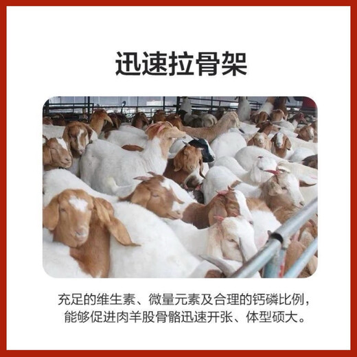 5% mutton sheep premix, Dabeinong core technology, rapid fattening, weight gain, skeleton nutrition, comprehensive authenticity guarantee, 1 pack, 50 Jin Jin is equal to 0.5 kg