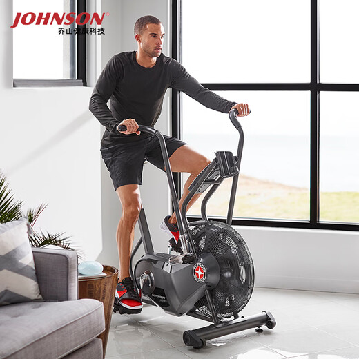 JOHNSON wind resistance spinning bike Schwinn AD6i fan bike belt low noise high intensity sports gym equipment black