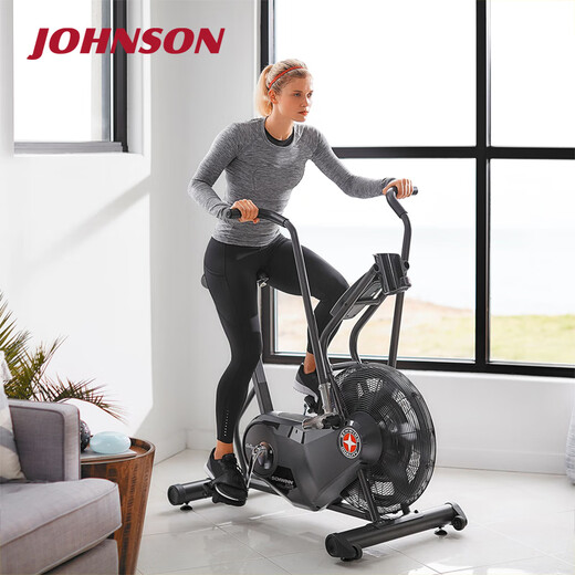 JOHNSON wind resistance spinning bike Schwinn AD6i fan bike belt low noise high intensity sports gym equipment black