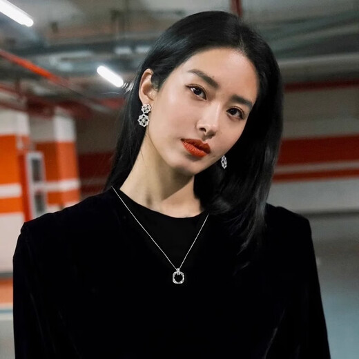 Yican Geometric Pendant Necklace for Women Light Luxury Niche Simple and High-end Clavicle Chain 2025 New Temperament Sweater Chain Neck Chain Silver Geometric Pendant Necklace for Women