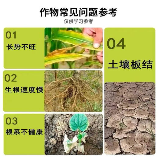 Flower and fruit controlled-release fertilizer for fruit trees and vegetables, universal production and income-increasing microbial inoculant, fast-rooting pine soil supplement, flower and fruit controlled-release fertilizer 1000g*1 bag