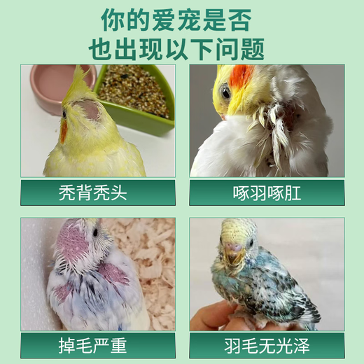 Pet Feather Pecking Bird Insect Cleaner Parrot Feather Cleaner Rutin Chicken Feather Pecking Bald Back Bird Feathers Special Pet Feather Pecking Cleaner 1 can/100g (free spoon)