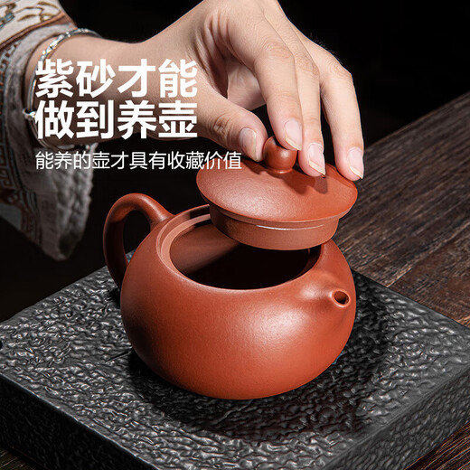 One pot and four cups of Xishi purple clay pot handmade teapot raw mineral tea set purple home office teapot Xishi one pot and four cups