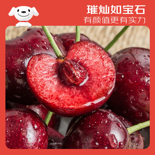 Jingxiansheng Domestic Cherry Cherries J Grade 1Jin Jin is equal to 0.5kg, single fruit 8g, fresh fruit, sweet and sour taste