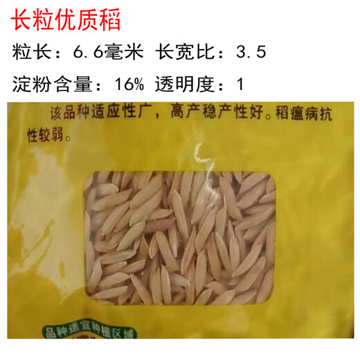 Huang Huazhan Rice Seed Rice Seed Conventional Rice Rice with High Quality and High Yield Two Jin Jin is equal to 0.5 kg Packed Set One