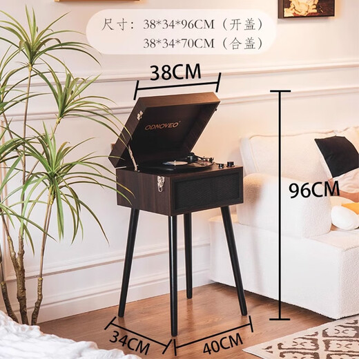 Otieno European-style simple multi-functional vinyl record player radio gift gift Bluetooth audio retro model room record player home floor-standing gramophone order free record combination three