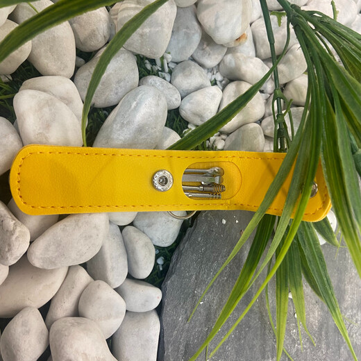 Wacker Lisa Stainless Steel Ear Picking Tool Ear Picking Spiral Ear Picking Spoon Ear Picking Tool Set Portable 6-piece Set Yellow Leather Cover Ear Picking 6-piece Set