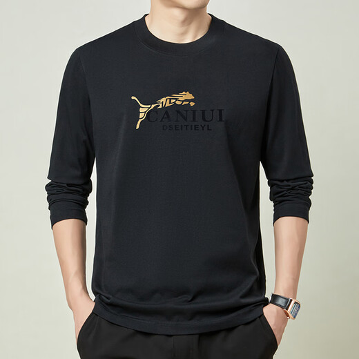 扬玦男士纯棉长袖t恤圆领上衣春秋季新款休闲男装宽松时尚打底衫体恤 6630黑色 L /170(建议115-130斤)