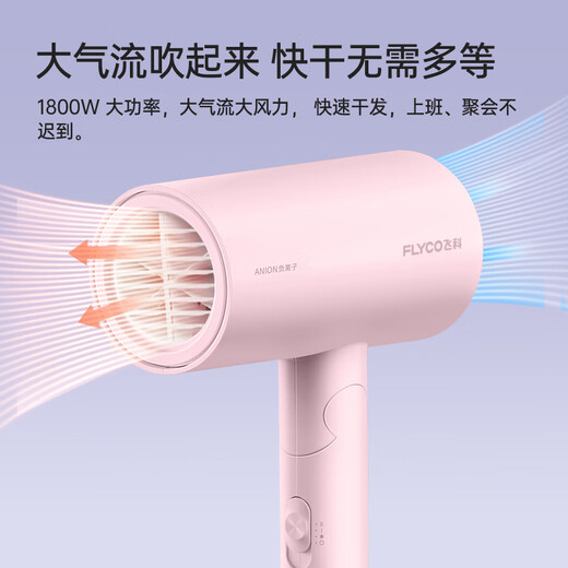 FLYCO Hair Dryer Portable Home Dormitory Student High Power Hair Dryer Quick Drying Foldable for Girlfriend 1800W Quick Drying Negative Ion FH6278-Light Pink