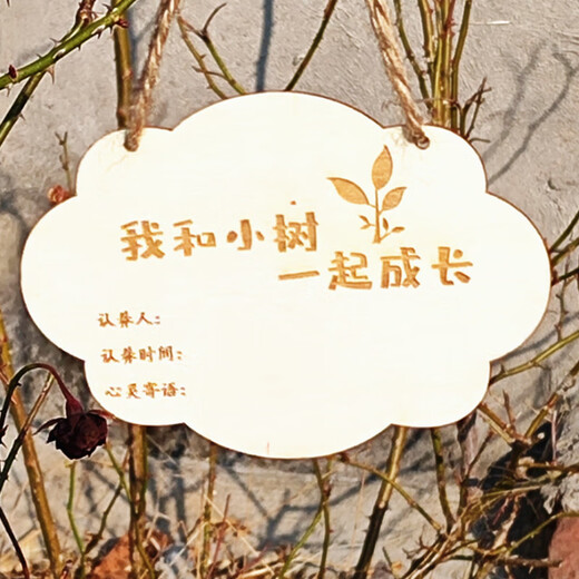 Arbor Day Listing Tree Tag Tree Adoption Tag Plant Tag Small Sapling Brand Wooden Tree Planting 15*10 Tree Planting Tag*2