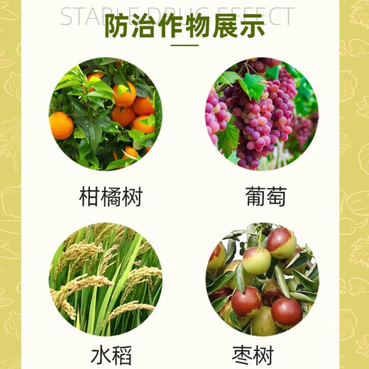 Qibao American 20% gibberellic acid 920 plant growth regulating gibberellin grape germination pesticide elongation agent genuine 1g