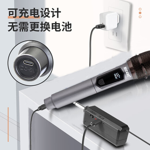 LIAGA wireless karaoke microphone professional singing desktop computer live broadcast home karaoke speech training conference recording FM trolley speaker microphone one to two anti-howling U2 (volcanic ash) (no Bluetooth)