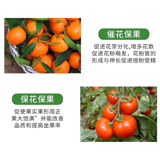 Flüssiger Bordünger, Blattdünger, Zuckeralkohol, Bor, flüssiges Bor zum Schutz von Blumen und Früchten und zur Verhinderung des Fruchtabfalls, Bordünger für landwirtschaftliche Blumen, zur Förderung von Borobstbaumdünger, 1400 g/Flasche