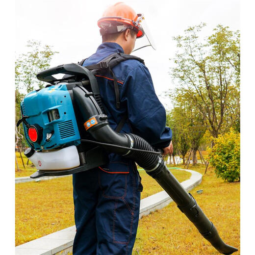 Gasoline hair dryer greenhouse snow blower portable wind fire extinguisher Dowshwell EB850 high power blower portable hair dryer