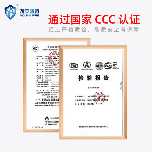 Youan fire escape mask fire-proof, smoke-proof and gas mask fire escape self-rescue filter respirator Youan brand TZL30 new style 2 pack (adult style) new date