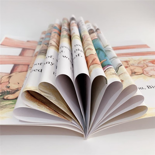 I Can Read Biscuit Biscuit Dog Series 29 volumes + 1 translated English picture book point reading version I Can Read Biscuit Biscuit Dog Series Standard Standard