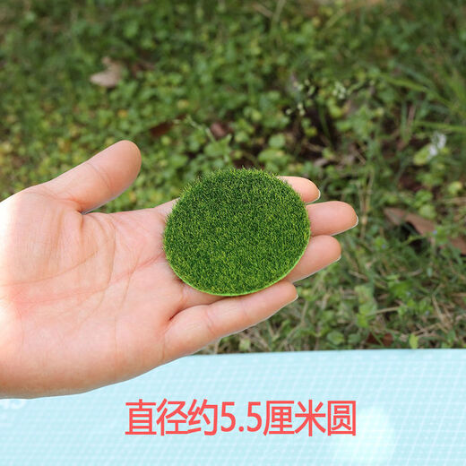 Ancient style fake lawn model desktop building green micro landscape simulation moss ecological bottle decorative bonsai grassland about 15 cm square 2 pieces ((measure the size you need)