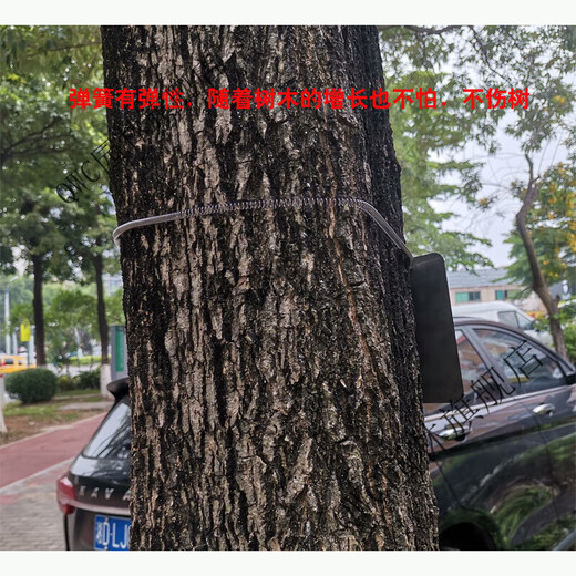 Stainless steel 304 tension spring chain hanging plant Chinese herbal tree brand spring stainless steel spring 30x0.6cm