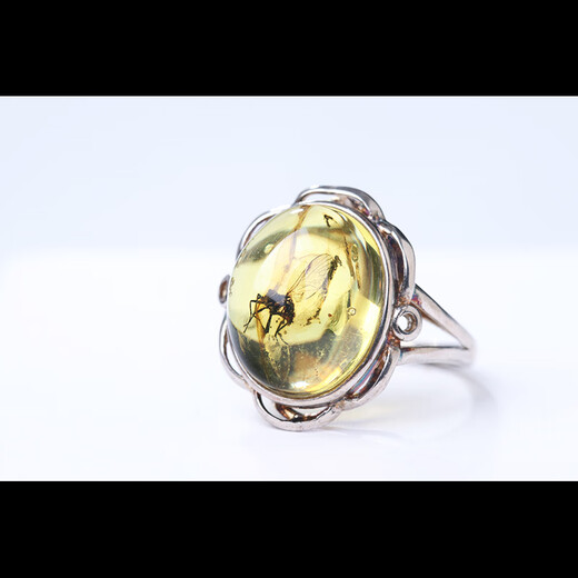 Yue'er collection-grade natural amber beeswax amber ring gold amber protozoa amber men's and women's insect amber complete and clear 3.52g insect amber ring