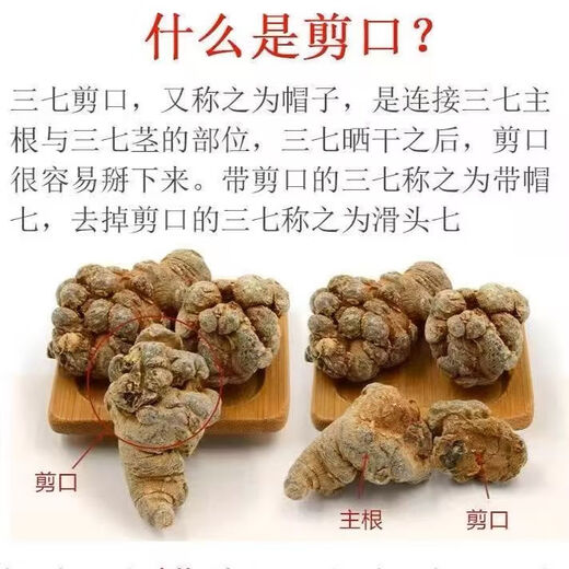 三七 正宗云南文山春三七 野生中药材田七 特级滑头三七 产地直销 500克（每斤40头滑头三七）