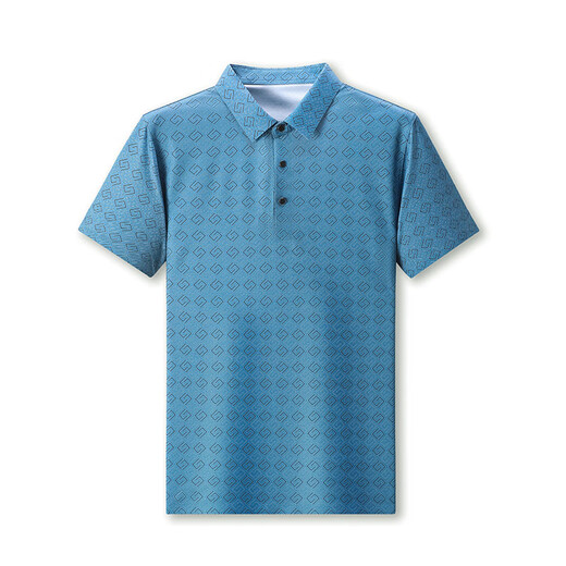 FALAMAONE阿玛尼夏季短袖T恤男士冰.丝翻领polo衫桑蚕丝半袖印花爸爸装 蓝色 lxy-13601印花短袖t恤 XXS m 165