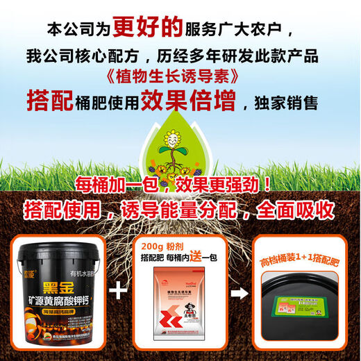 Within a week, 900 people worked together to provide potassium fulvic acid and humic acid water-soluble fertilizers from a single mineral source for root and fruit expansion and conditioning to villages and towns.