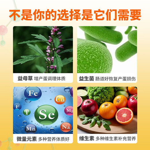 Egg Duoduo for Little Pets, Egg-Producing Egg-laying Spirit, Turtle, Parrot Nutrition, Electrolytes, Multivitamins for Chicken, Duoduo Eggs for Little Pets, 5 cans/100g (spoon included)