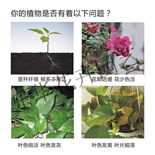 Phosphate Fertilizer Superphosphate Flower Fertilizer Vegetable Fertilizer Root Strengthening Fertilizer Soil Adjuster Fertilizer Vegetable Planting Agricultural Fertilizer Planting Flowers Phosphate Fertilizer High Concentration 30Jin Jin is equal to 0.5 kg