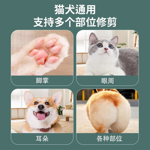 GERTHRON Germany Pet Shaver Special Electric Clipper for Dogs and Cats Silent Clipper for Cat Foot Shaving Classic Model-Mint Green