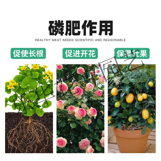 Phosphate fertilizer, superphosphate fertilizer for growing vegetables and flowers, fertilizer for fruit trees, flowers and agricultural crops, general flower-stimulating calcium phosphate fertilizer, phosphate fertilizer 50Jin Jin is equal to 0.5kg
